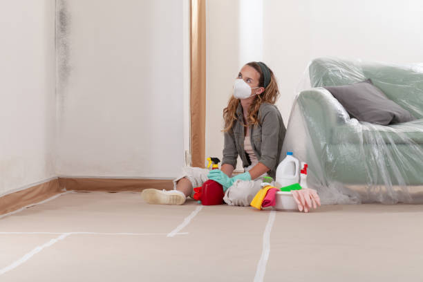 Reliable Mold Testing contractor in Lithia, FL by WQB Mold Removal